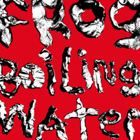 DIIV - Frog In Boiling Water [Limited Edition Indie Exclusive Green LP]