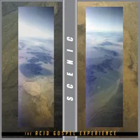 Acid Gospel Experience