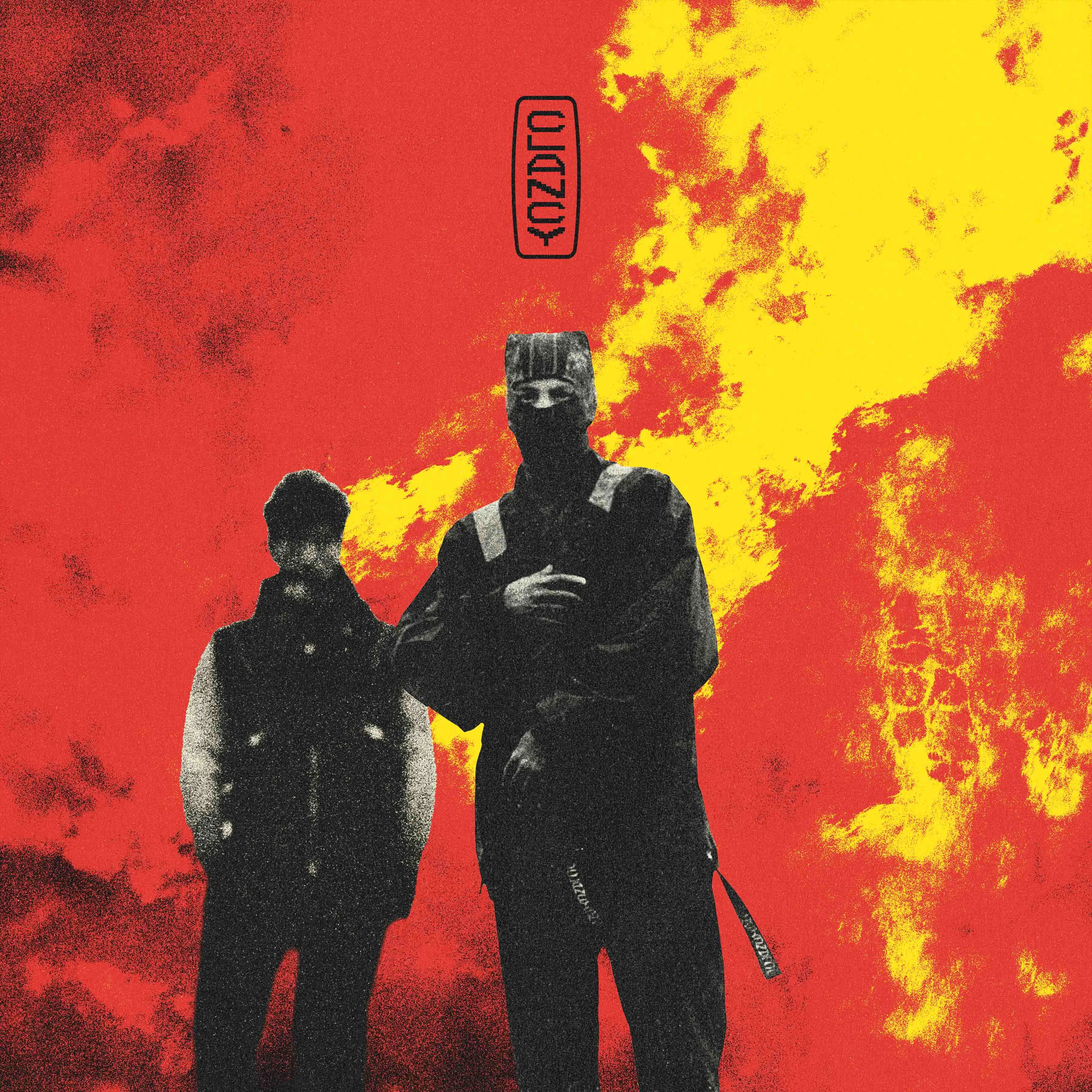 TWENTY ONE PILOTS SIGNED AUTOGRAPH ALBUM VINYL RECORD