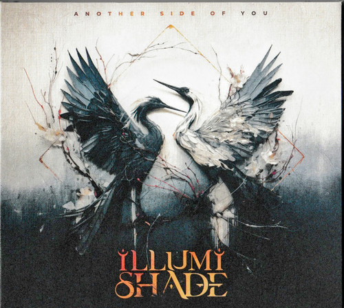 Illumishade - Another Side Of You