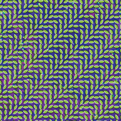 Animal Collective - Merriweather Post Pavilion (15th Anniversary Edition) vinyl record cover
