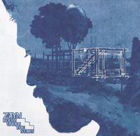 Zayn - ROOM UNDER THE STAIRS [Forest Green/Neon Splatter 2 LP]