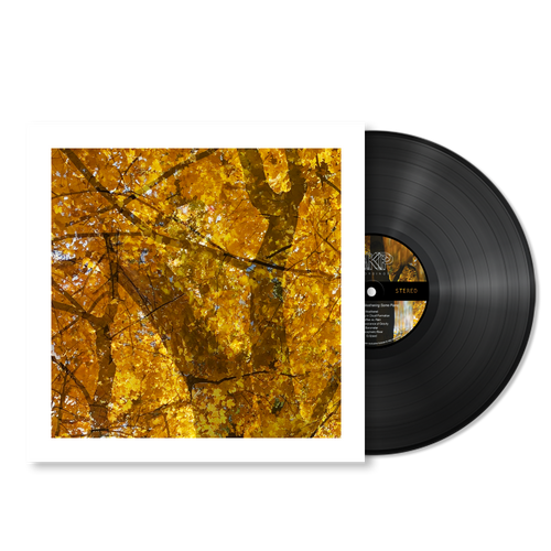 Howe Gelb - Weathering Some Piano