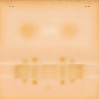 Dr. Dog - Dr. Dog [LP]
