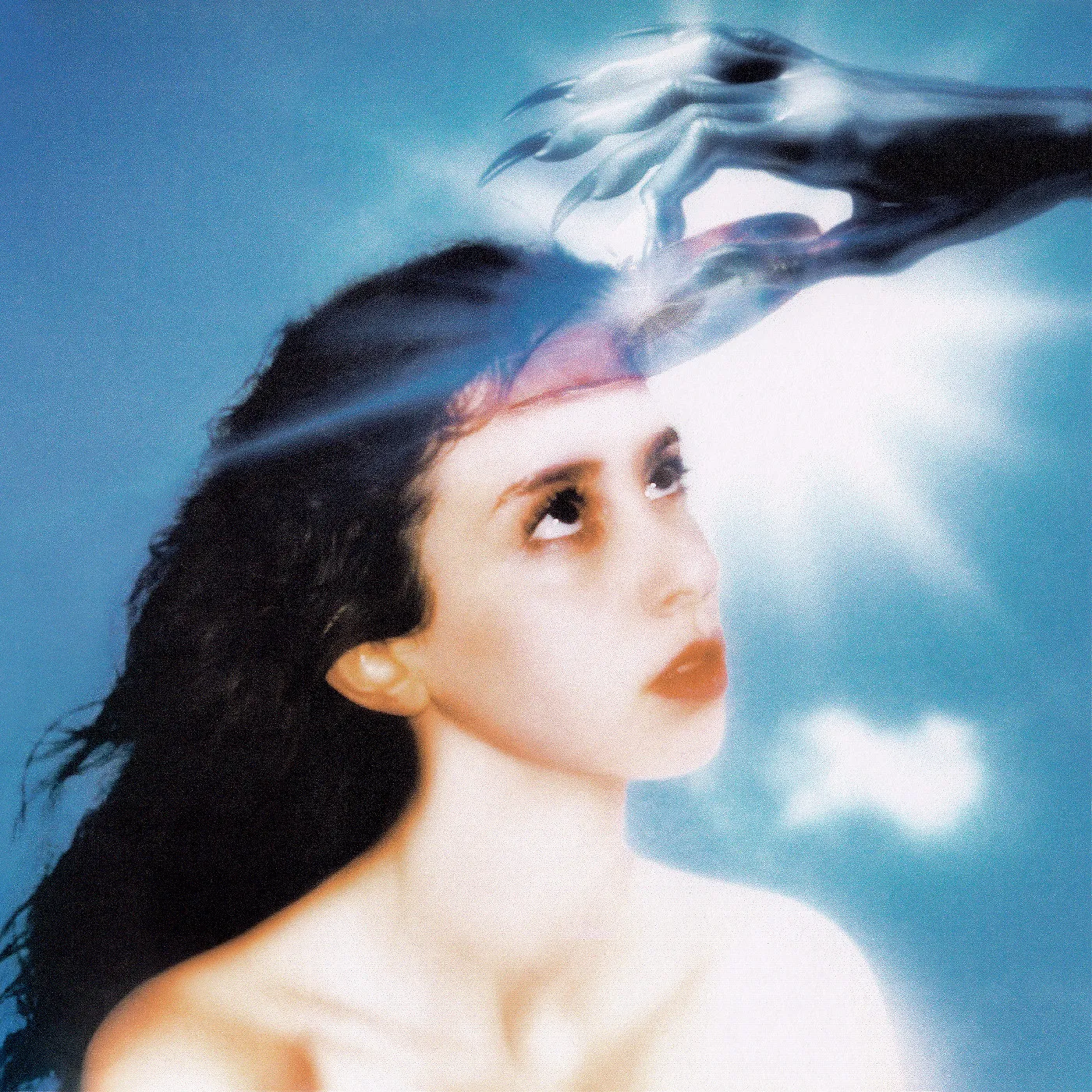 Imaginal Disk [LP]