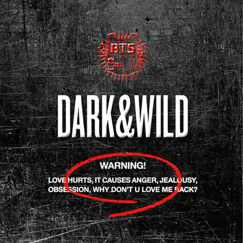 BTS - DARK & WILD