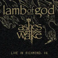 Ashes of the Wake Live