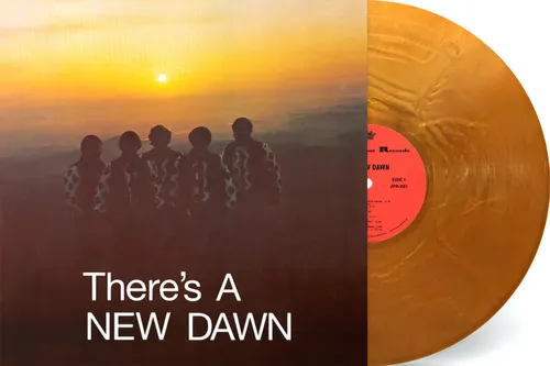 The New Dawn - There's A New Dawn vinyl record cover