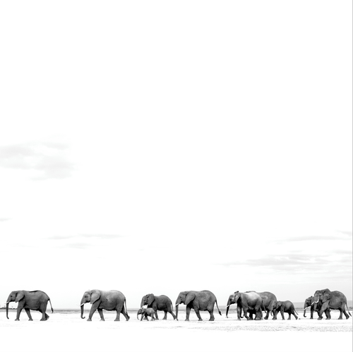 Dave Matthews Band - Where Are You Going: The Singles