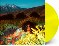 Brittany Howard - What Now [Translucent Lemonade LP]