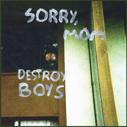 Destroy Boys - Sorry, Mom [LP]