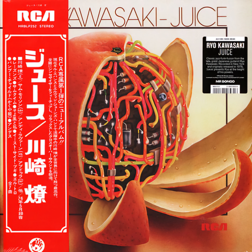 Ryo Kawasaki - Juice