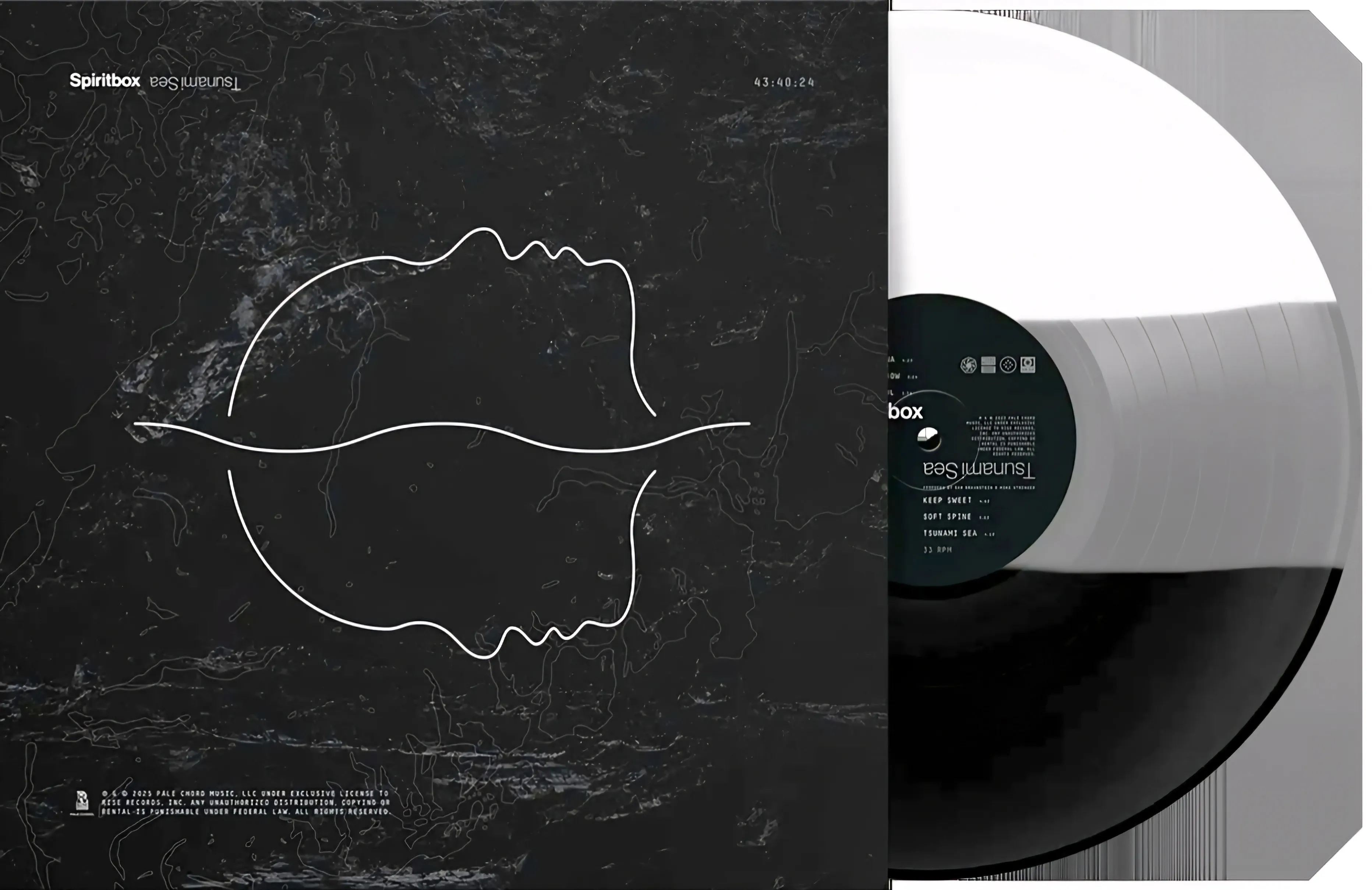 Spiritbox - Tsunami Sea レコード Spiritbox - Tsunami Sea[LP] - Amazon.com Music