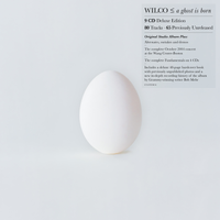 Wilco - A Ghost Is Born (Deluxe Edition) -  [9LP/4CD BOX SET]