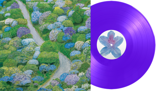 Fiddlehead - Between The Richness [Colored Vinyl] (Viol) (Can)