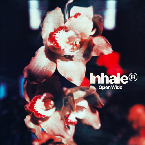 Inhaler - Open Wide [LP]