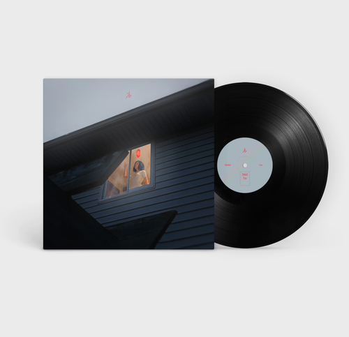 Kills Birds - Crave [Indie Exclusive LP]