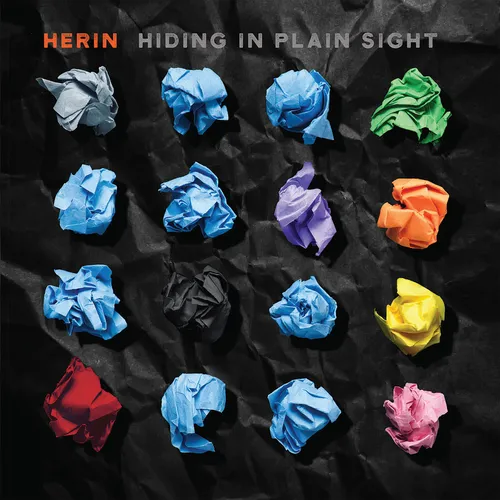  - Hiding In Plain Sight [RSD 2025]