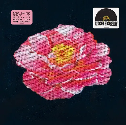 Post Malone - Post Malone Tribute To Nirvana