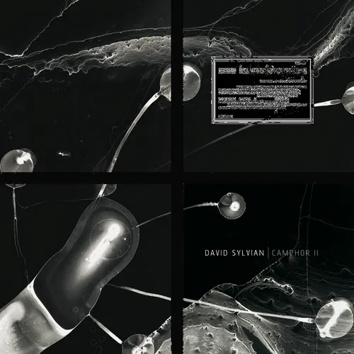 David Sylvian - Camphor II [RSD 2025]