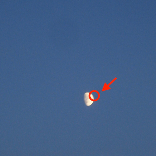 cleopatrick - FAKE MOON [Compact Disc]