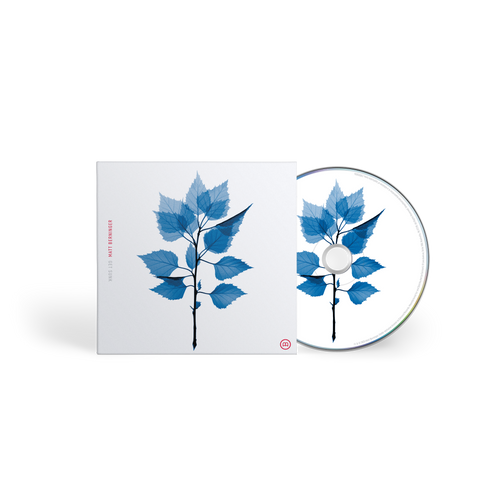 Matt Berninger - Get Sunk