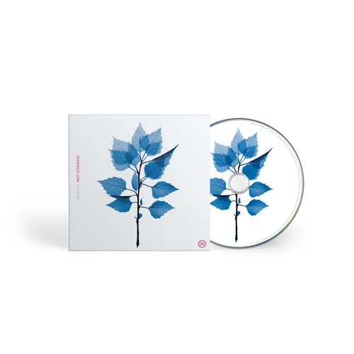 Matt Berninger - Get Sunk [Colored Vinyl] [Limited Edition] (Hol)