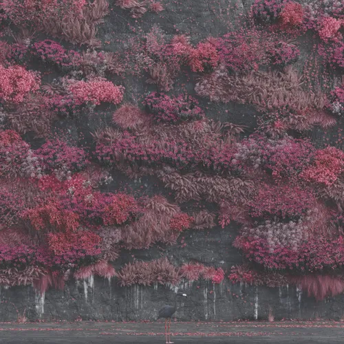 Sleep Token - Even In Arcadia [Colored Vinyl] [Limited Edition] (Uk)