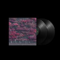 novel core / A GREAT FOOL CD·DVD Store | Pure Pop Records