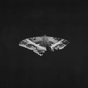 Kendrick Lamar - To Pimp A Butterfly (10 Year Anniversary Edition) [Metallic Blends 2LP w/ Alternate Artwork]