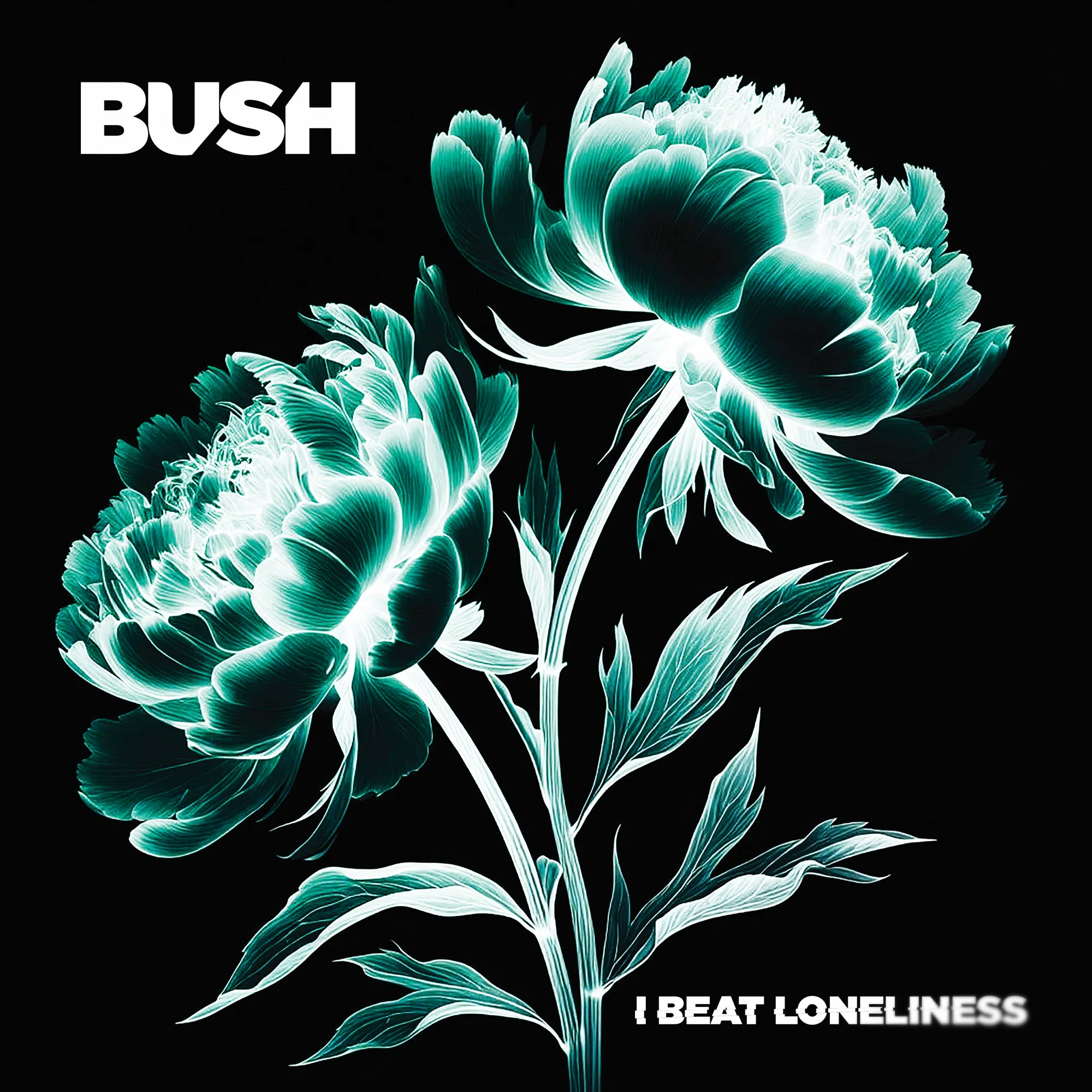 Bush - I Beat Loneliness [Compact Disc] | The Long Ear