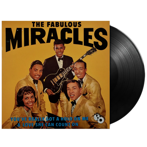 The Miracles - You've Really Got A Hold On Me