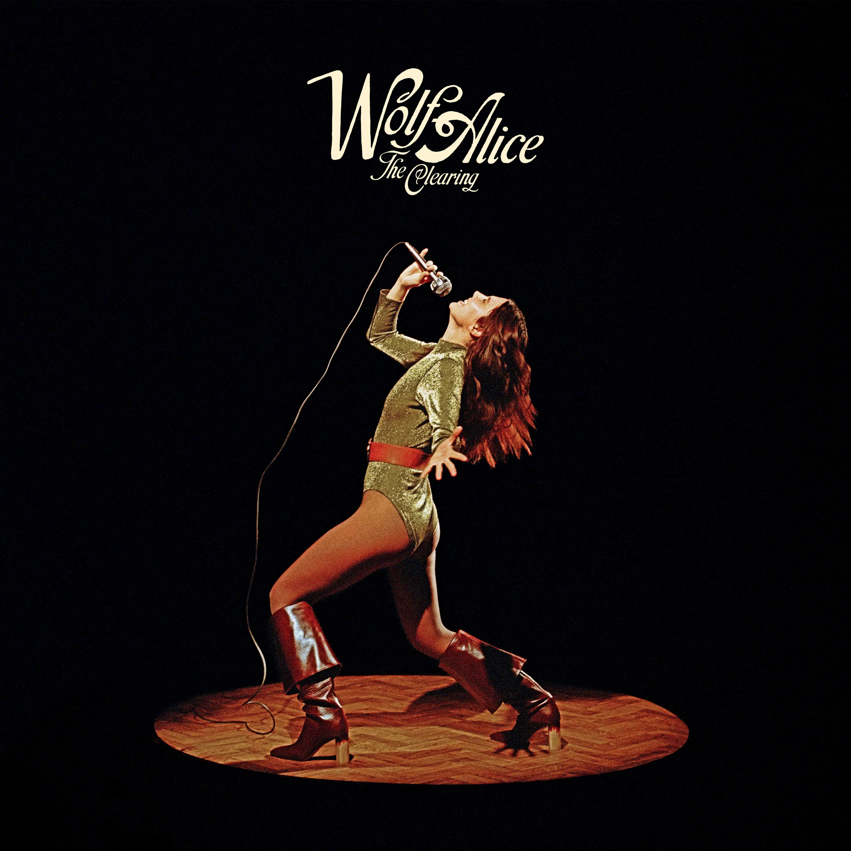 Wolf Alice 1st LPレコード　洋楽 418467296071