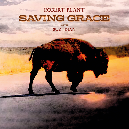 Robert Plant - Saving Grace [Black LP]