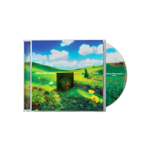 Rainbow Kitten Surprise - bones