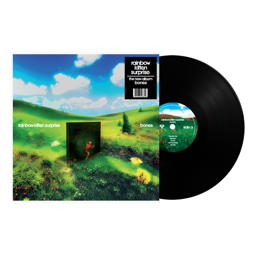 Rainbow Kitten Surprise - bones