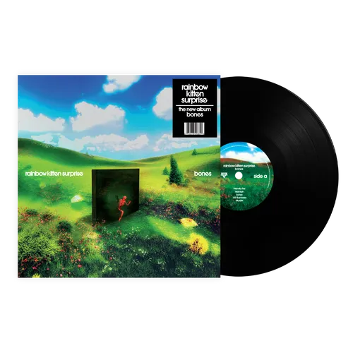 Rainbow Kitten Surprise - bones