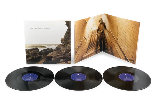 Polygon Window - Surfing on Sine Waves [Expanded Edition] [3LP]