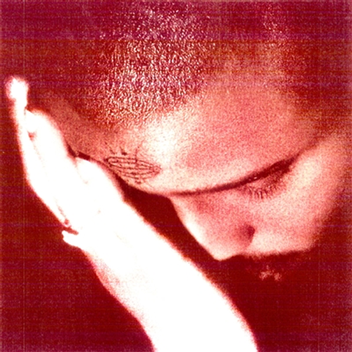 Nourished by Time - The Passionate Ones [Indie Exclusive Colored Vinyl]