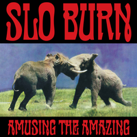 Slo Burn - Amusing The Amazing [RSD Black Friday 2025]