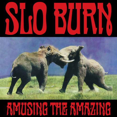 Slo Burn - Amusing The Amazing [RSD Black Friday 2025]