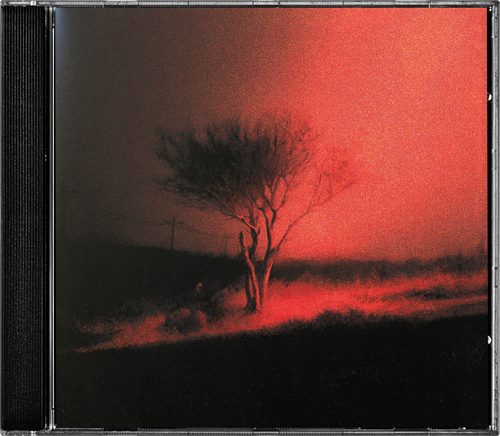 Joji - Piss In The Wind | RECORD STORE DAY