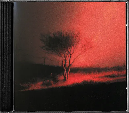 Joji - Piss In The Wind