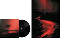 Joji - Piss In The Wind [Black Vinyl + Poster]