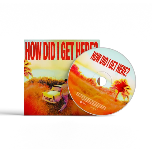Louis Tomlinson - How Did I Get Here?