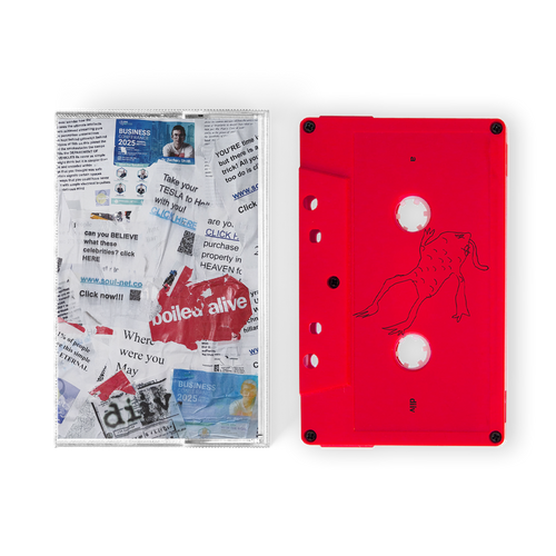 DIIV - Boiled Alive: Live At Teragram Ballroom