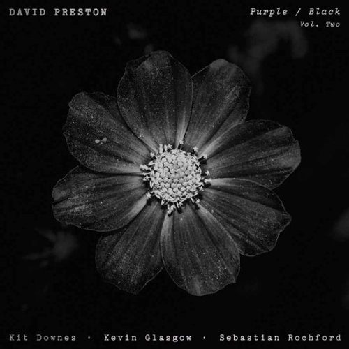 David Preston - Purple/Black Volume 2