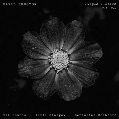 Purple/Black Volume 2 (Uk)