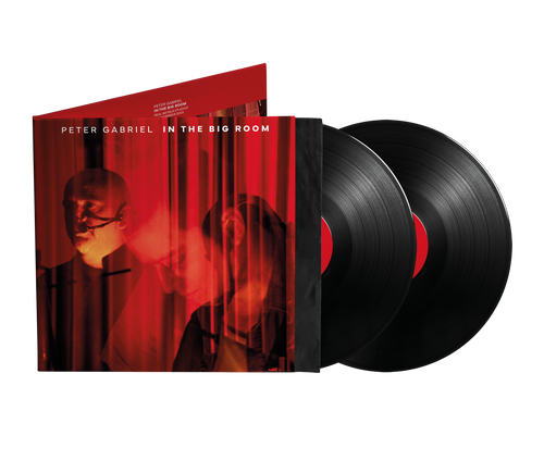 Peter Gabriel - In The Big Room