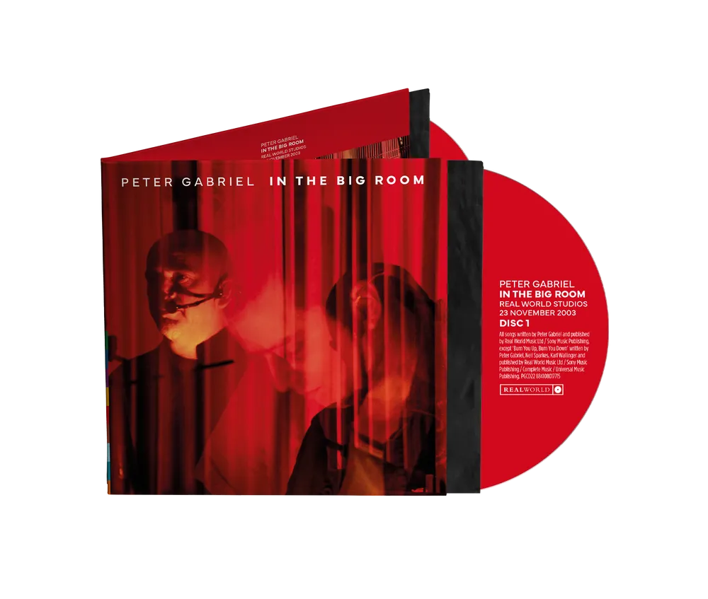 Peter Gabriel - In The Big Room